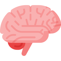 Neurology