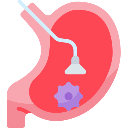 Endoscopy