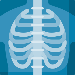 Digital X-Ray